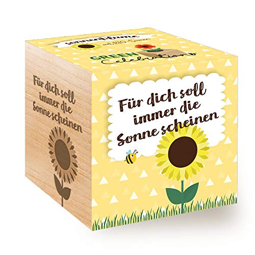 Celebrations Ecocube, Sonnenblume Bio...