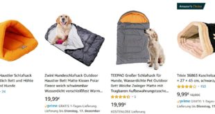 Kuriose Geschenke: Einen Hundeschlafsack schenken